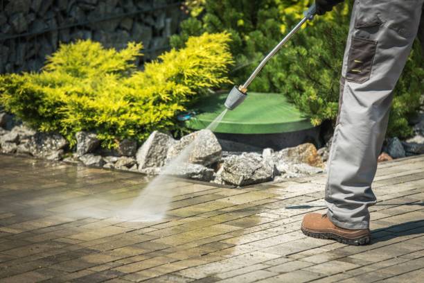 Best Pre-Holiday Cleaning  in Jackson, WI