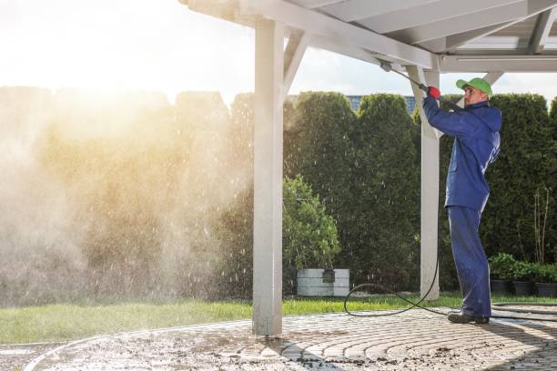 Best House Exterior Washing  in Jackson, WI